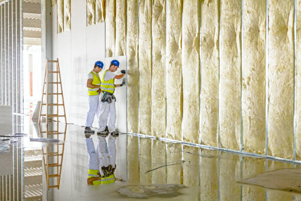 Best Insulation Maintenance and Repair in New Lno, LA